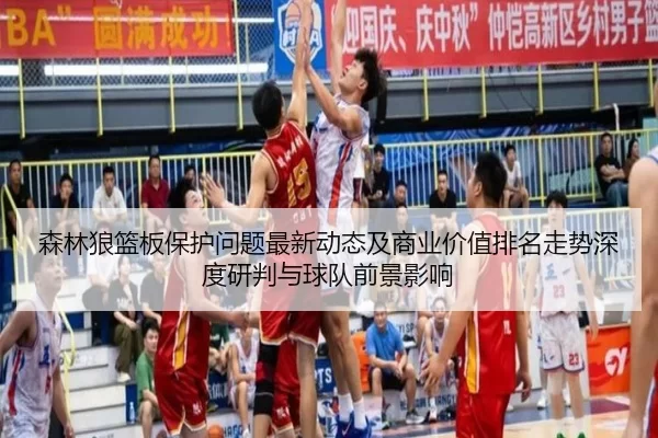 森林狼篮板保护问题最新动态及商业价值排名走势深度研判与球队前景影响